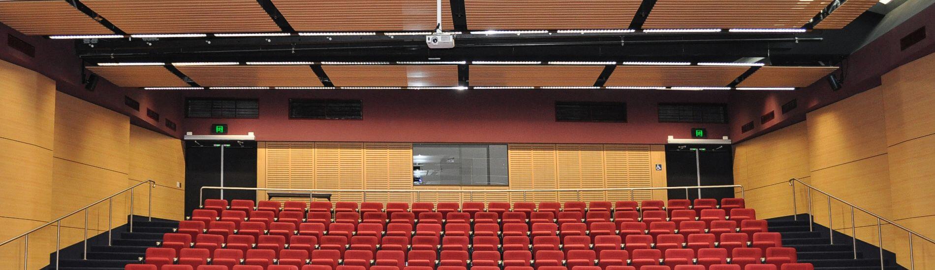 Mixed and matched slats and panel product address acoustics and aesthetics in school theatres